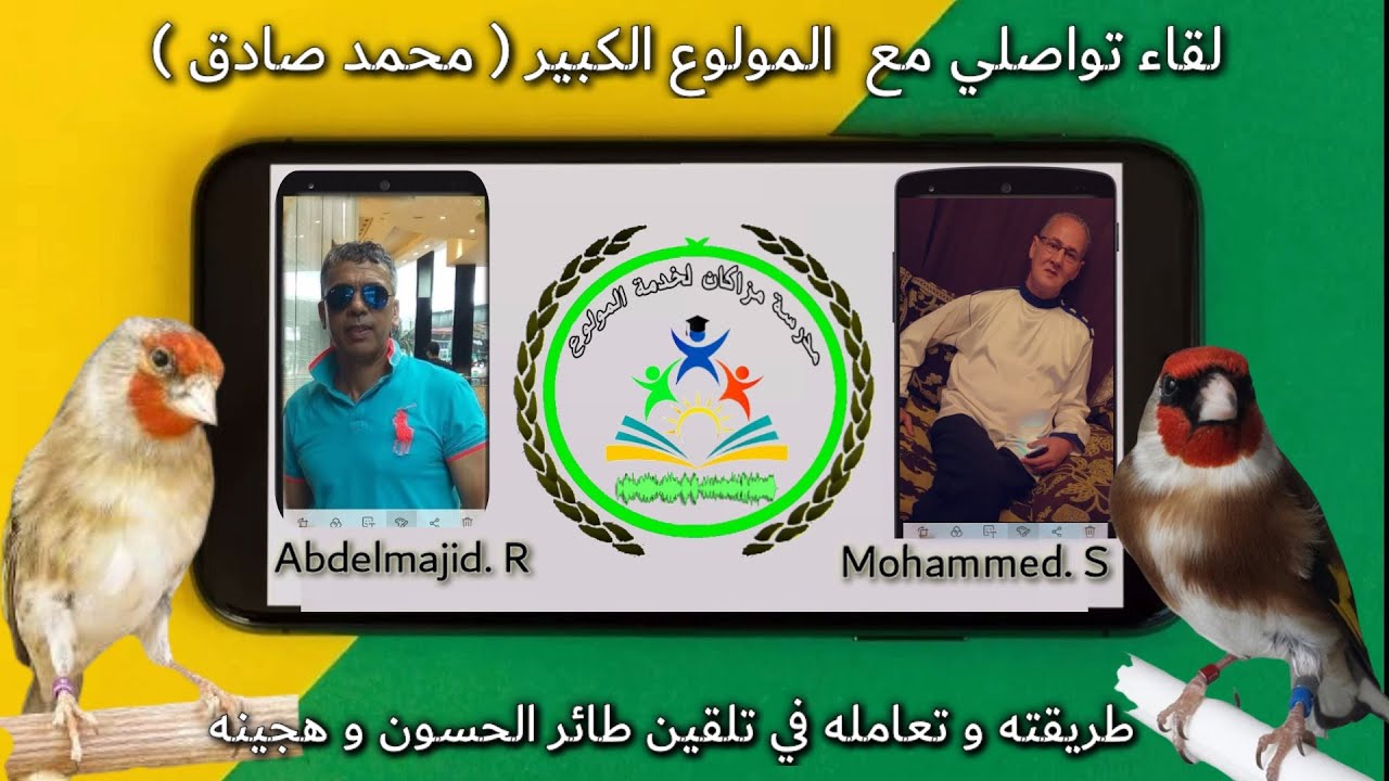 لقاء ولاعي : تلقين طائر الحسون وهجينه