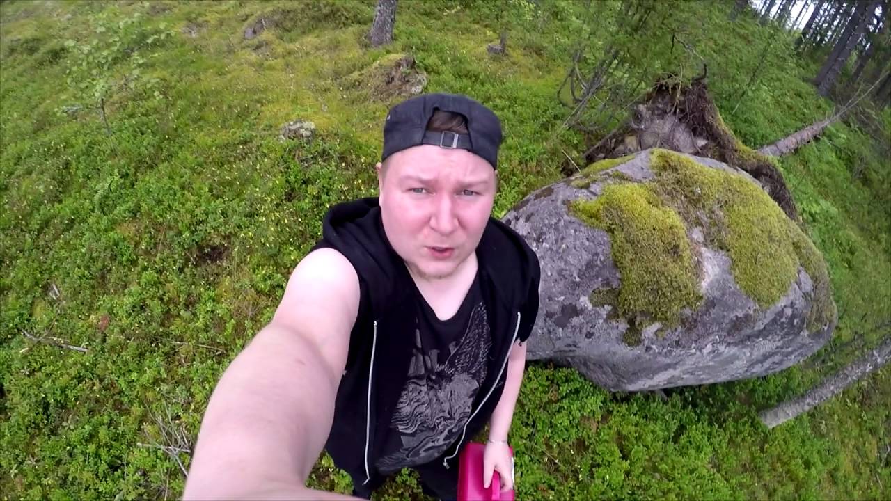 Mustikkapiirakka