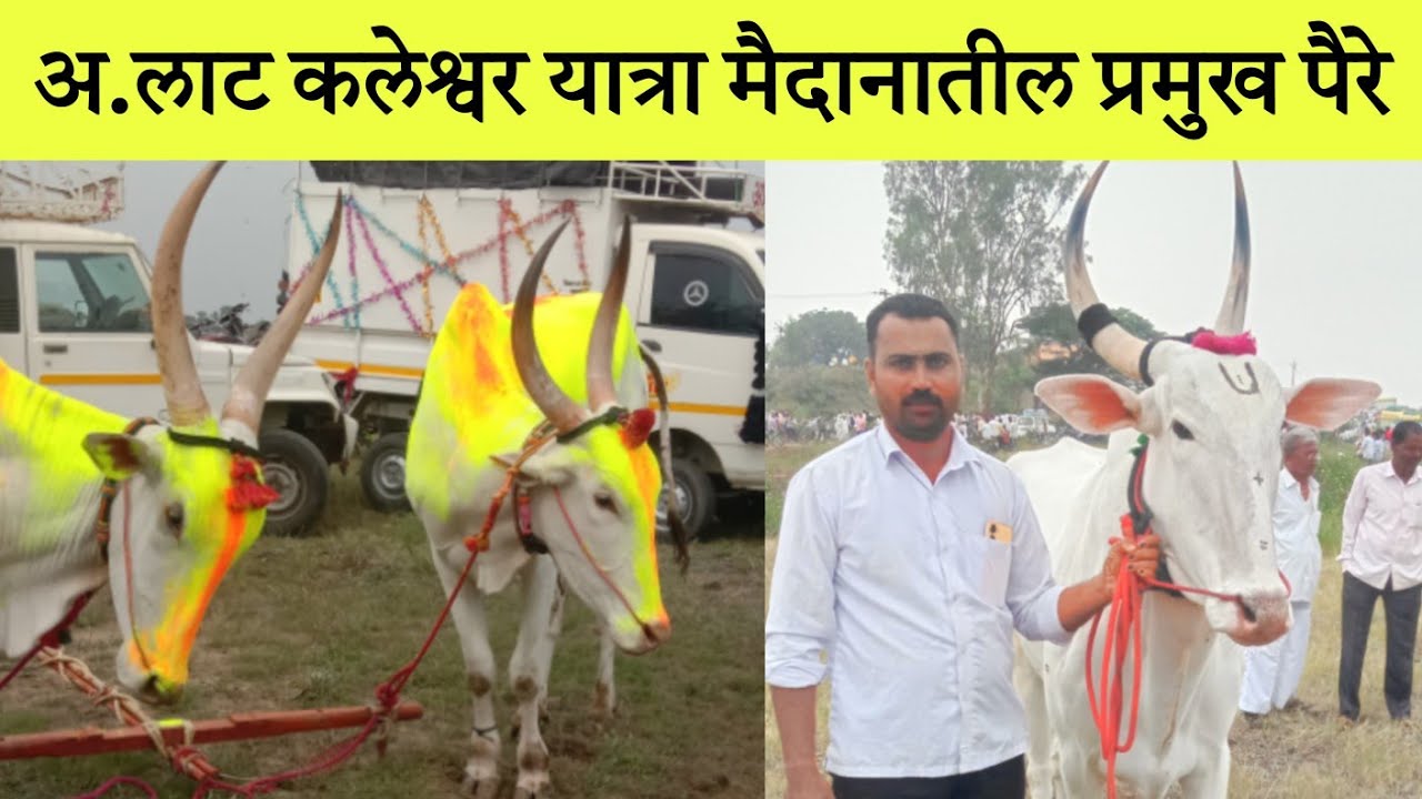 अ.लाट कलेश्वर यात्रा मैदानातील प्रमुख पैरे 2024