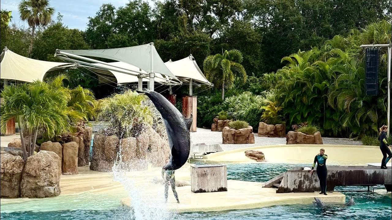 A Perfect Day at SeaWorld Orlando 🌊🐬 | Can’t Miss This!