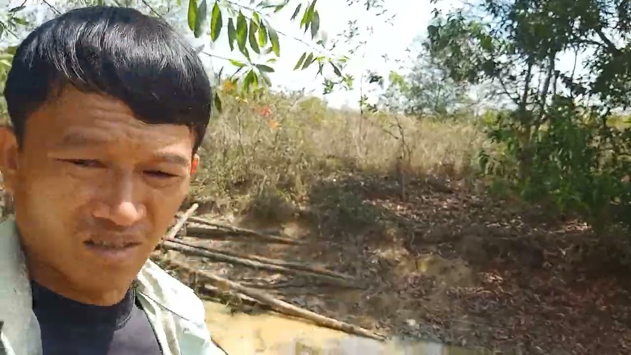 Nơi Voi Rừng Thường Xuyên Xuất Hiện