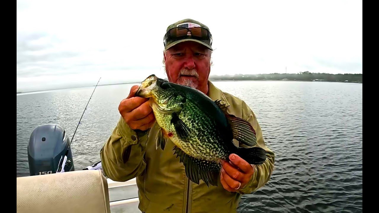 BIG Crappie Quest - St Johns River Florida