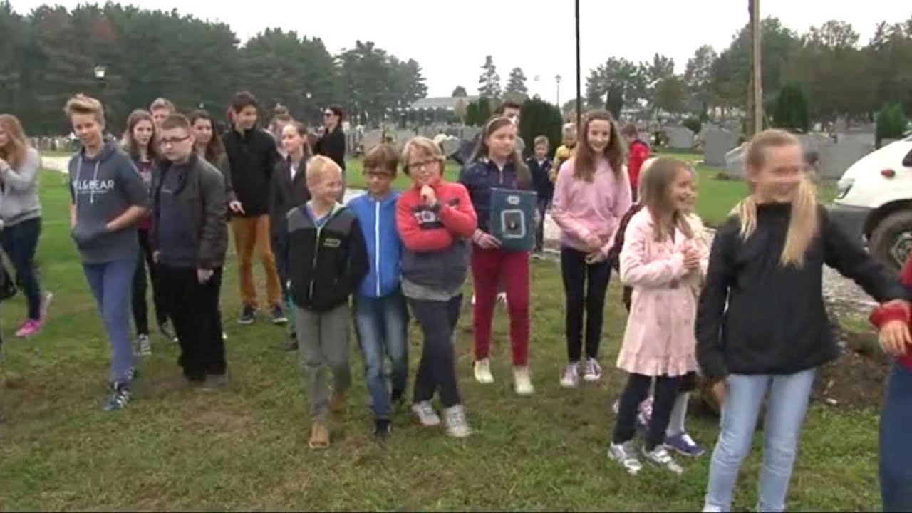 Drevesna olimpijada 2014 (prispevek PeTV)