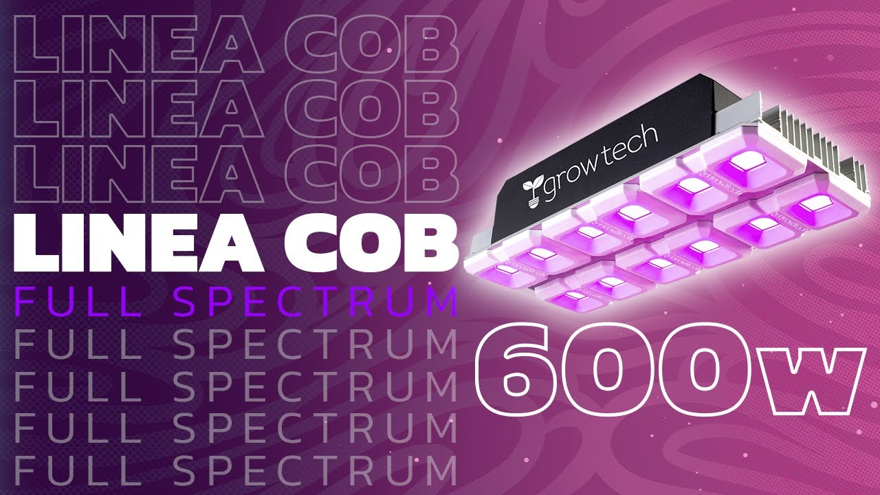 UNBOXING COB 600W GROWTECH. Panel de cultivo LED Full Spectrum