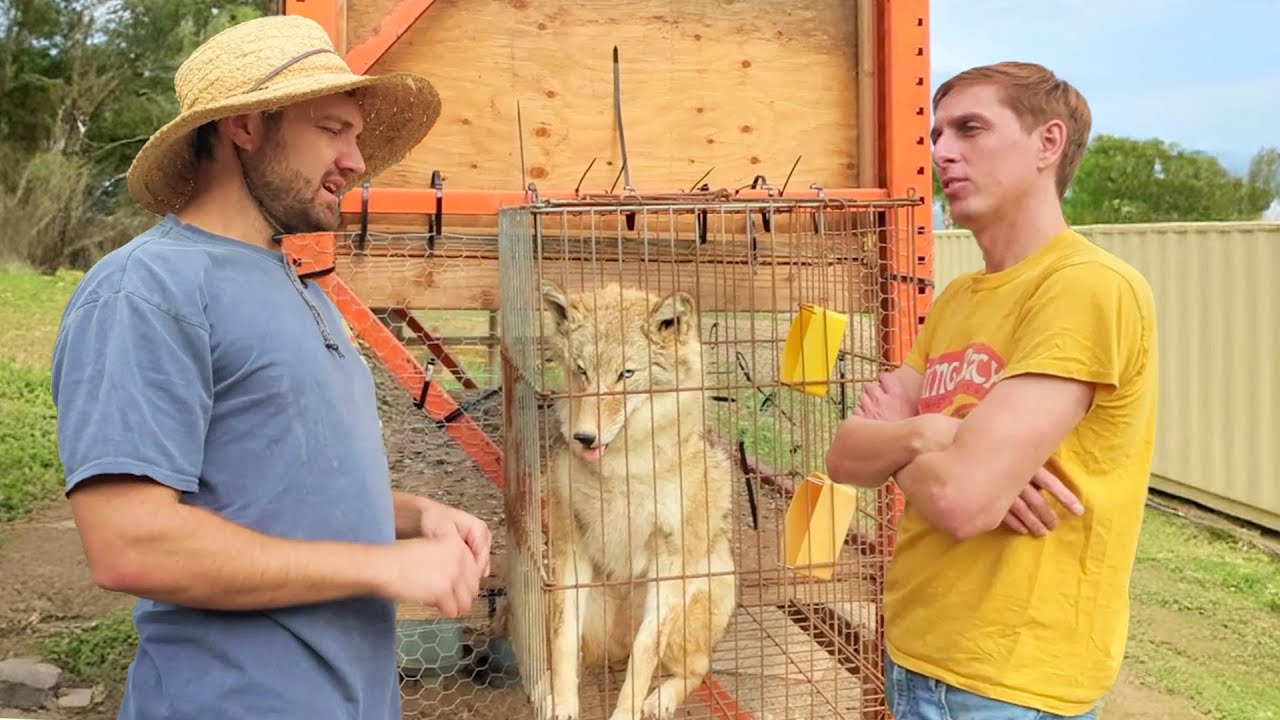 farmers save wild animal