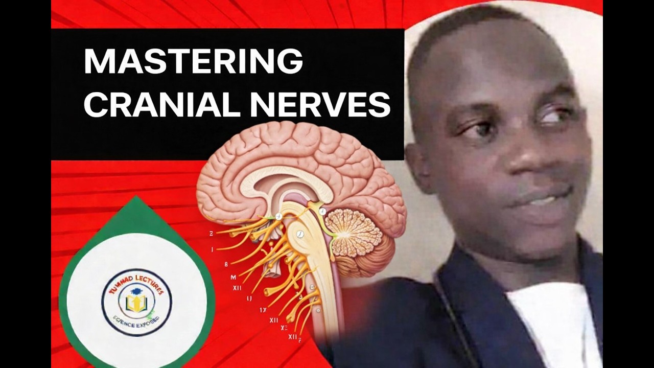 MASTERING ALL CRANIAL NERVES 