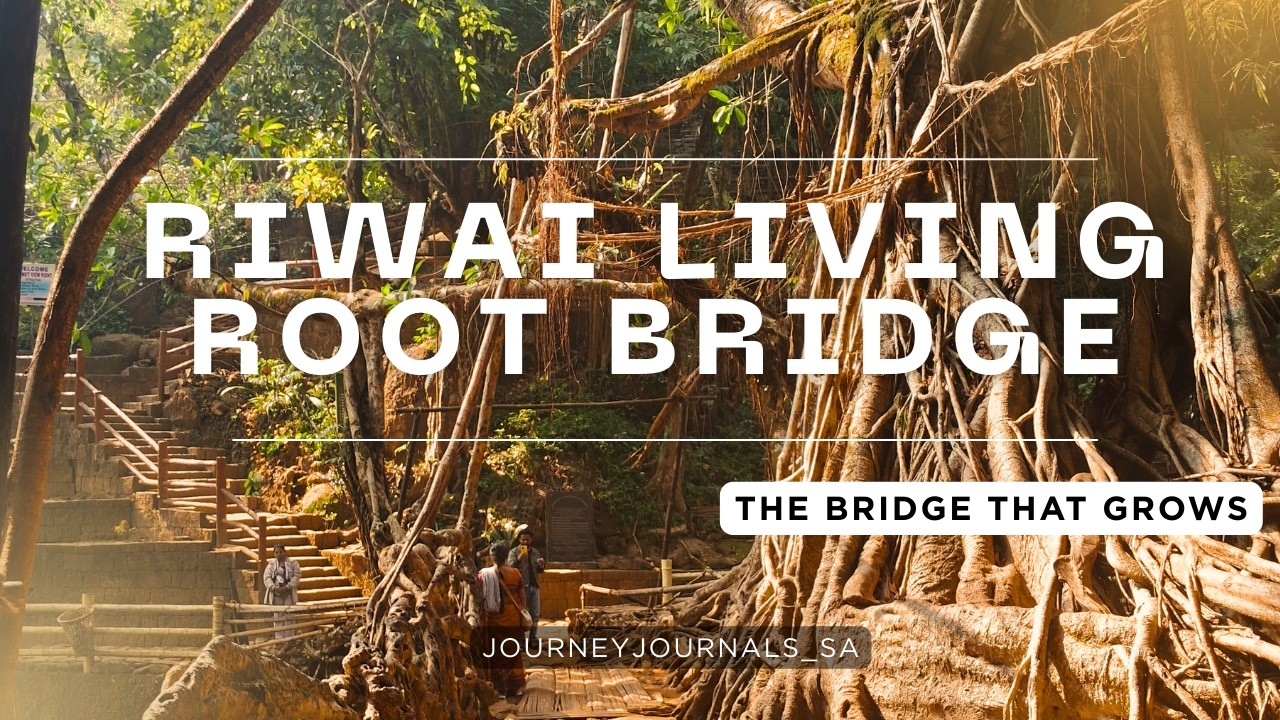 Riwai Living Root Bridge | Meghalaya | Living Root Bridges of Meghalaya