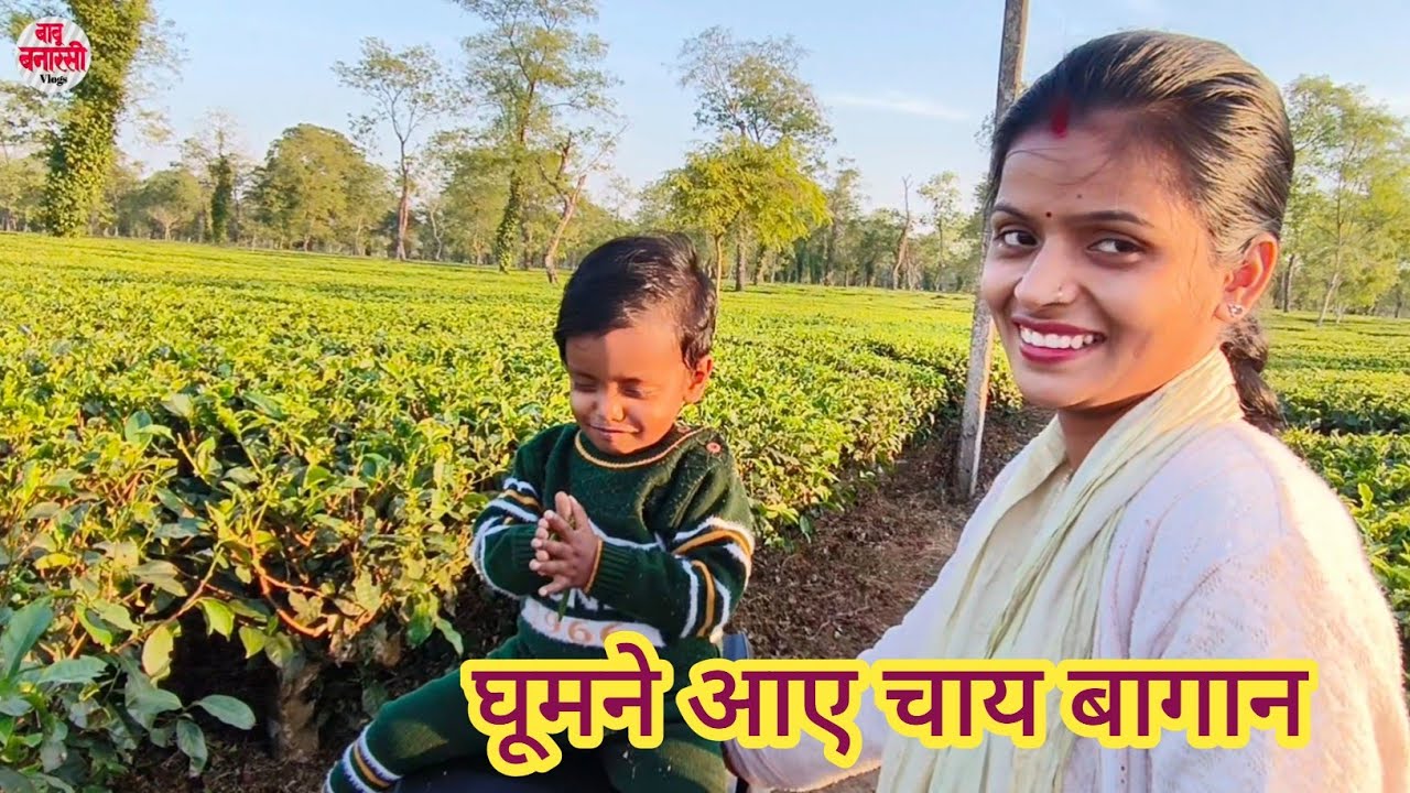 दूर दूर तक फैला हुआ चाय बागान । Tea state in Assam @babubanarasivlogs 