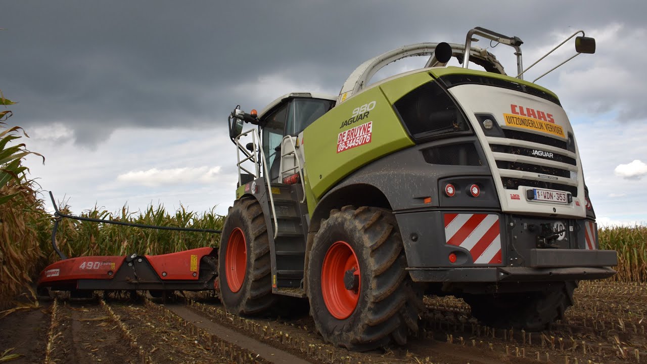 Claas Jaguar 980 & Kemper 490plus   De Bruyne Agro   mais hakselen