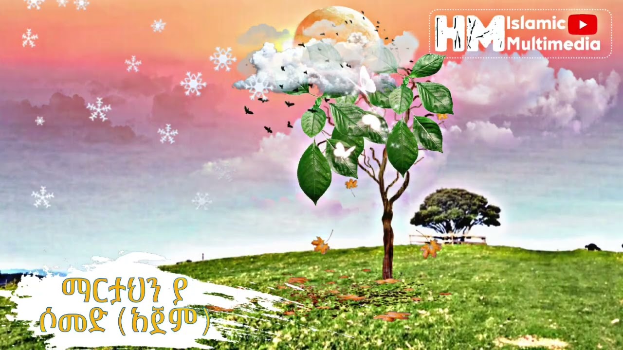 አጀም || ማርትህን ያ ሶመድ ቢጃሂ መሐመድ || ajeme MARETAHN YA SOMED AJEM
