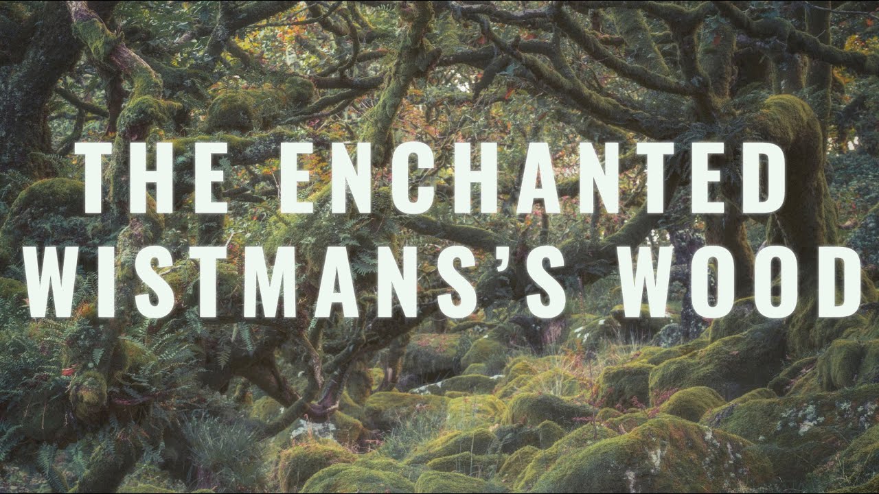 Wistman's Wood in Perfect Light | Raw vs Edited Photography