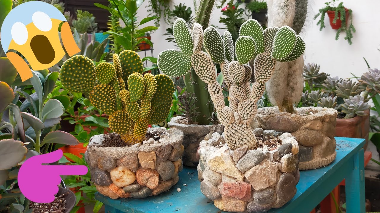 MACETAS hechas con PIEDRAS