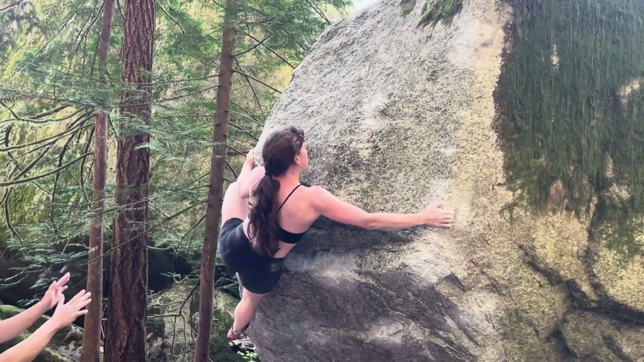 bee professor v9