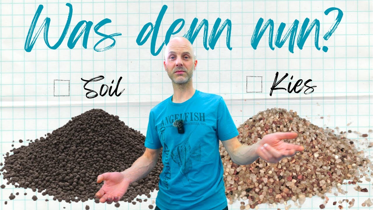 Welcher Bodengrund passt in deinem Aquarium | Kies oder Soil?