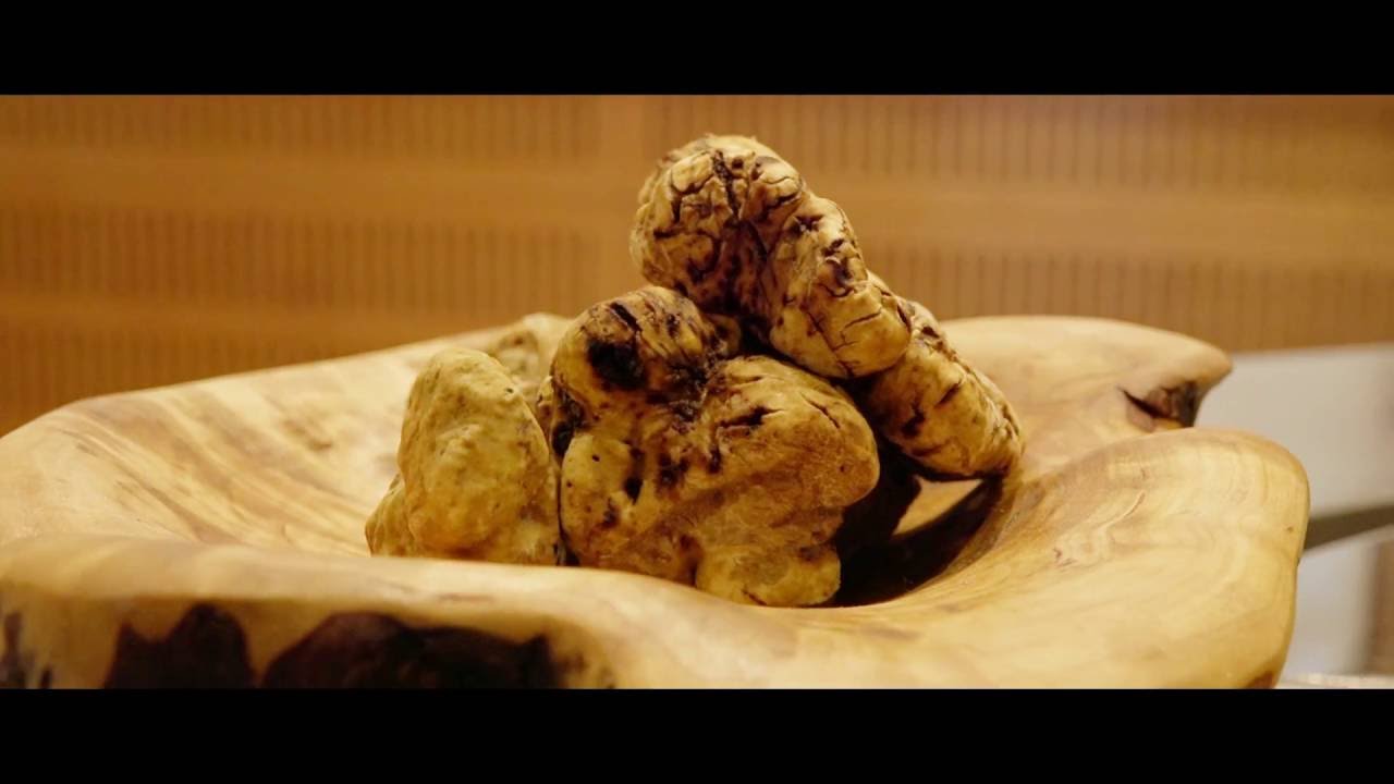 86^ Fiera Internazionale del Tartufo Bianco d'Alba - ottobre novembre 2016