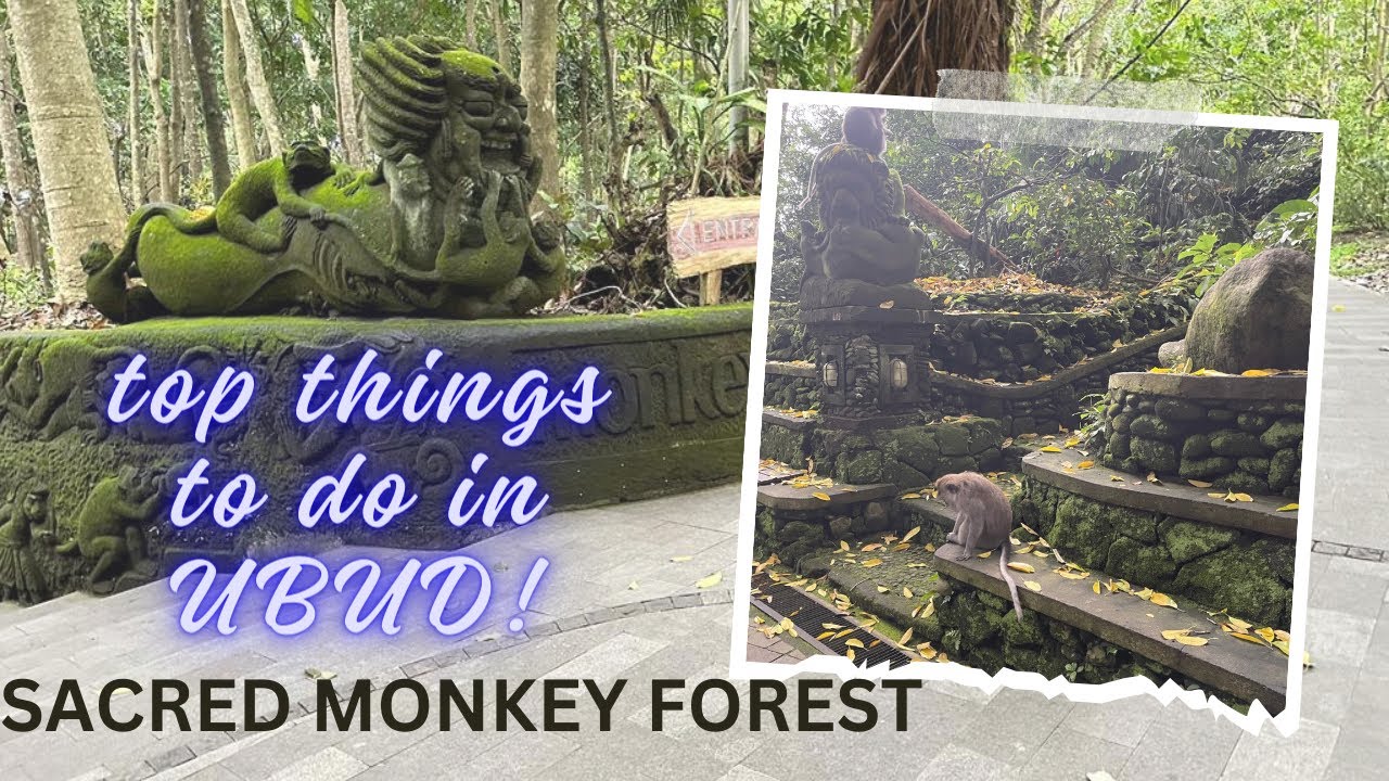 Exploring the Sacred Monkey Forest Sanctuary@monkeyforestubud-official