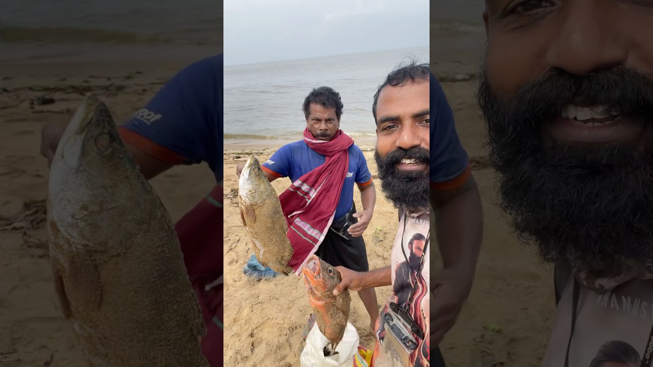 ഇങ്ങനത്തെ മീൻ കിട്ടണം #vlogettan