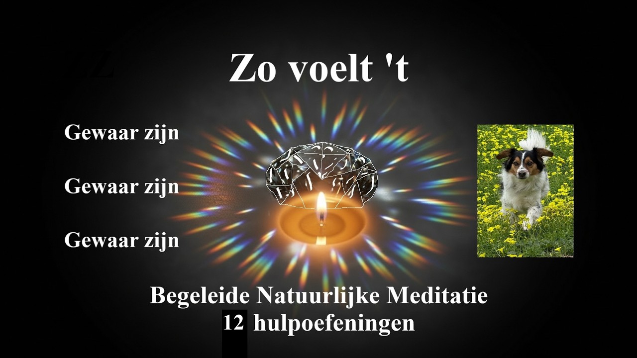 7 Zo voelt t Begeleide Natuurlijke Meditatie 12 Hulpoefeningen