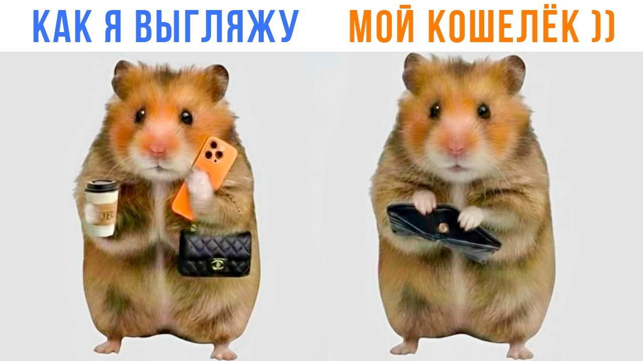 БУКВАЛЬНО ВСЕ ))) Приколы | Мемозг 1722