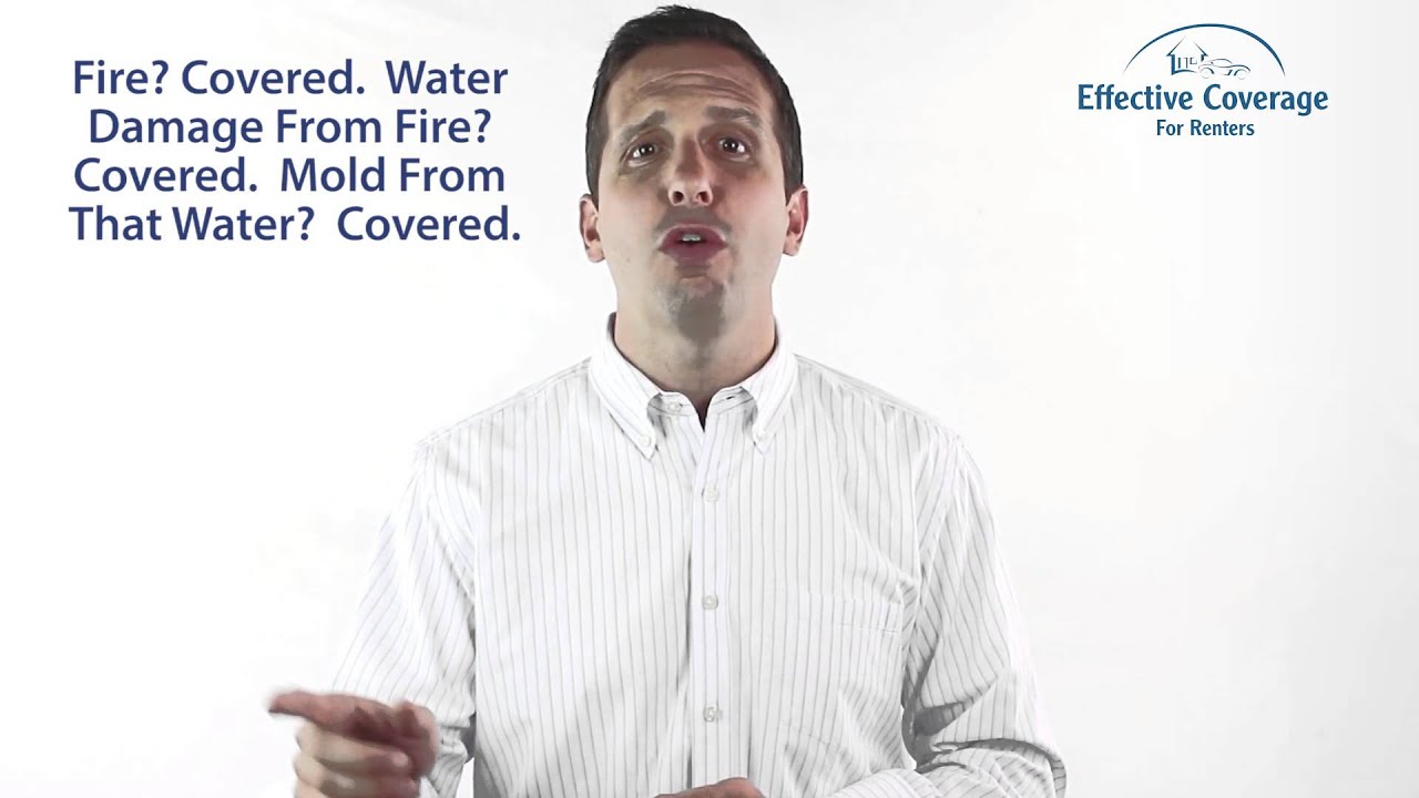 Does Renters Insurance Cover Mold?