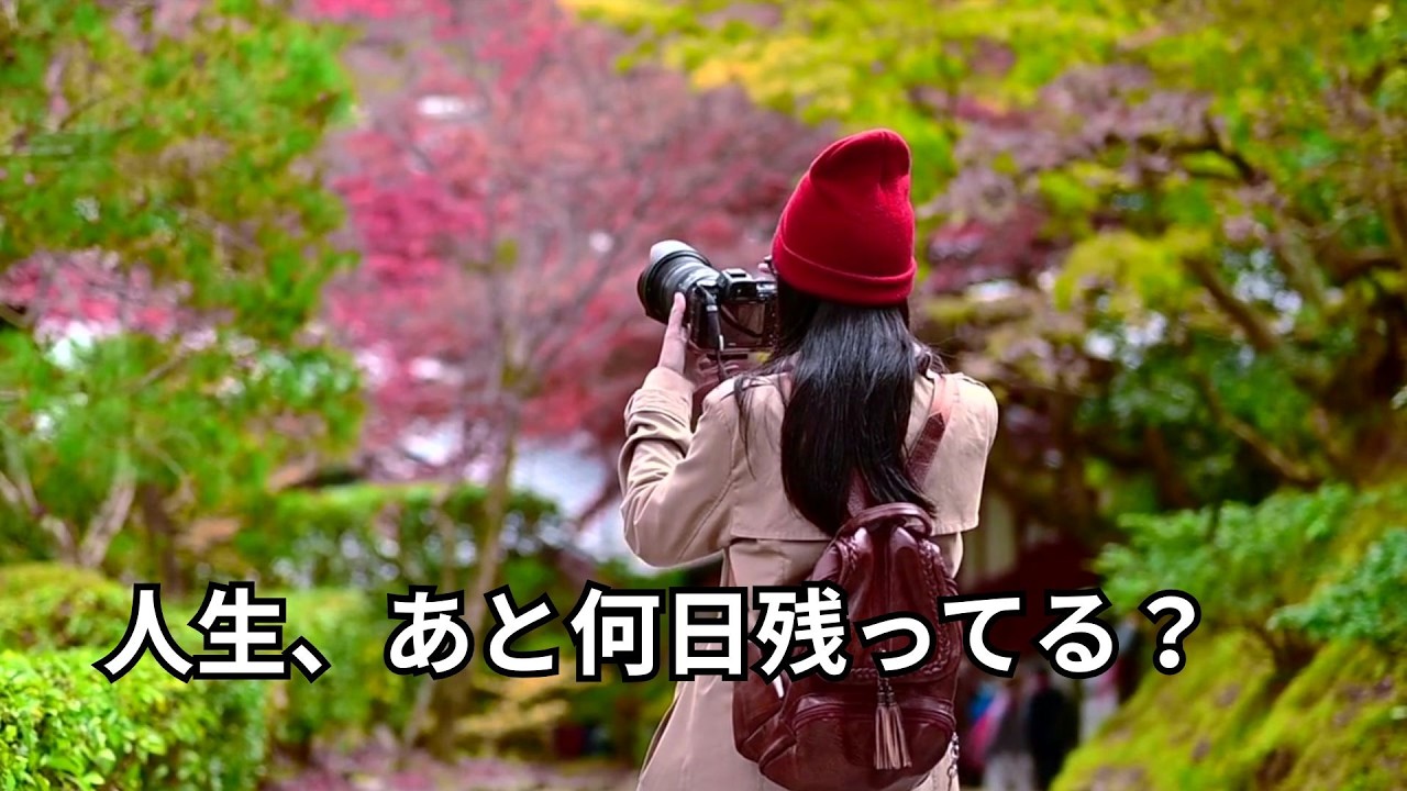 【後悔しない生き方】自分を信じる勇気が湧く、一生モノのメッセージ#モチベーション#マインドフルネス