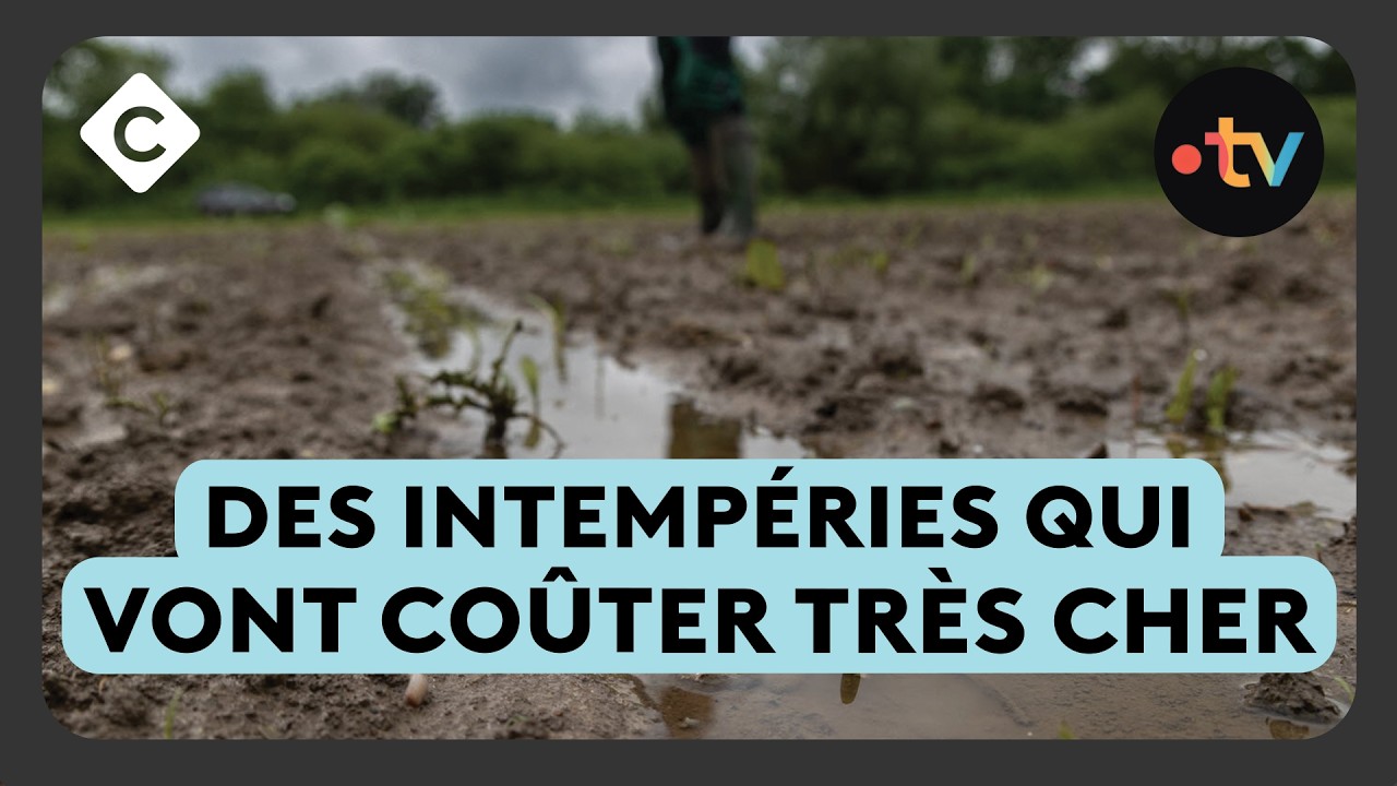 Crues : ces produits qui vont coûter plus cher - Le 5/5 de Lorrain Sénéchal
