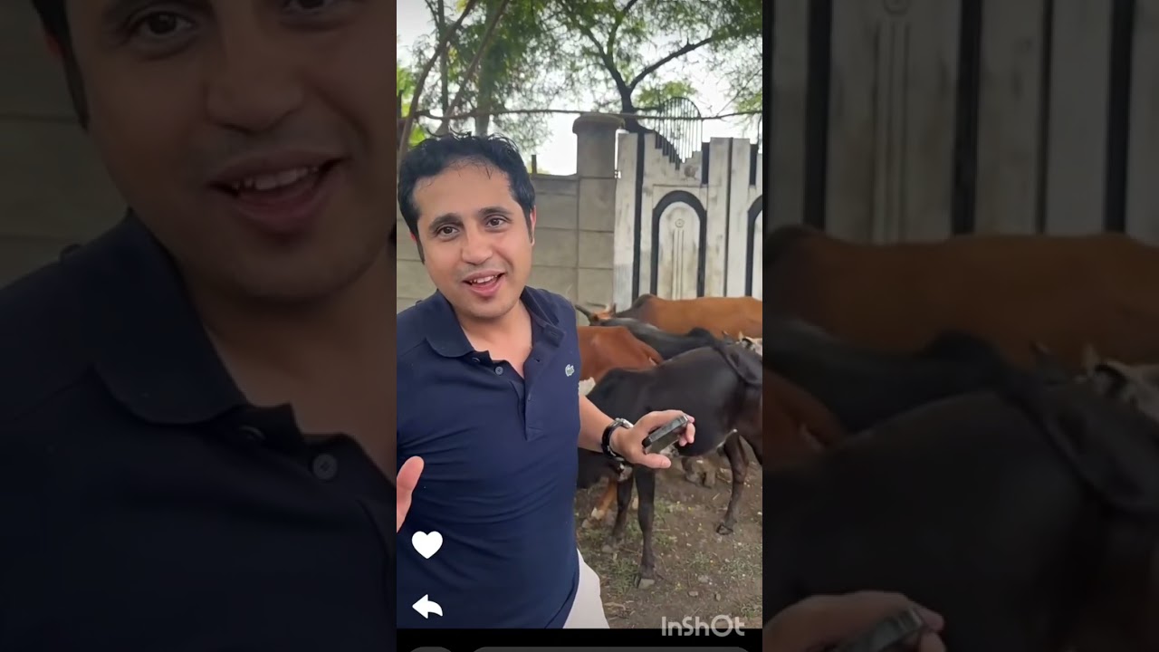 فيحان ابن الصحراء في إثيوبيا 🇪🇹 يبي يقصب قعود حلالاه يالكاتم 