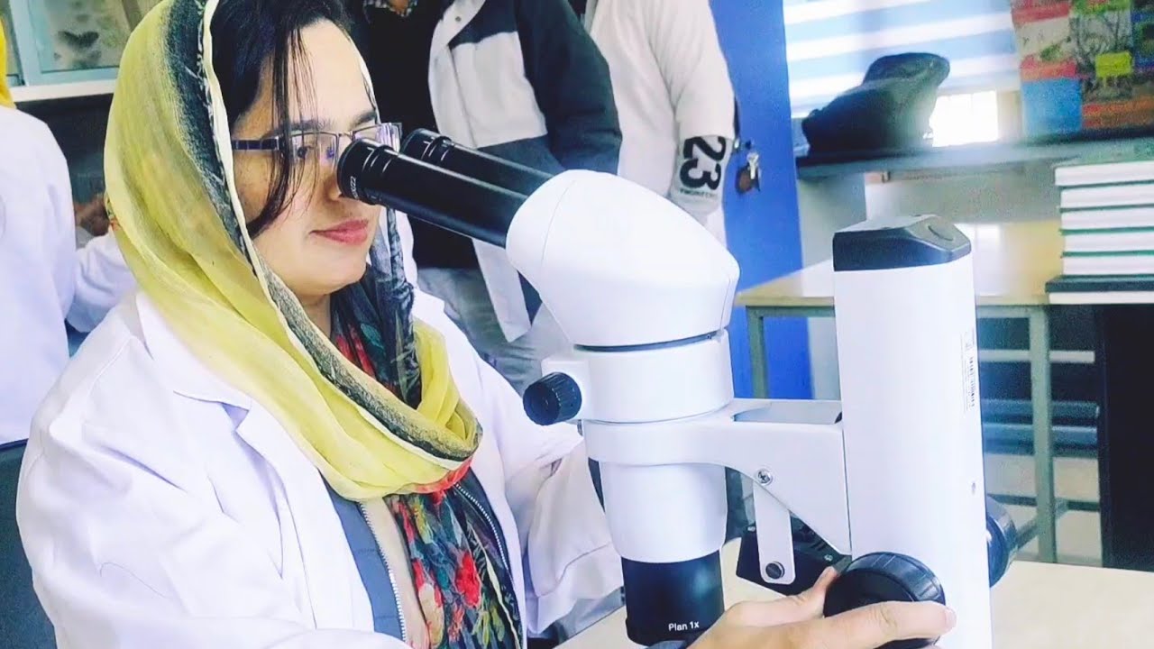 Research Activities || School of Biosciences & Biotechnology BGSBU