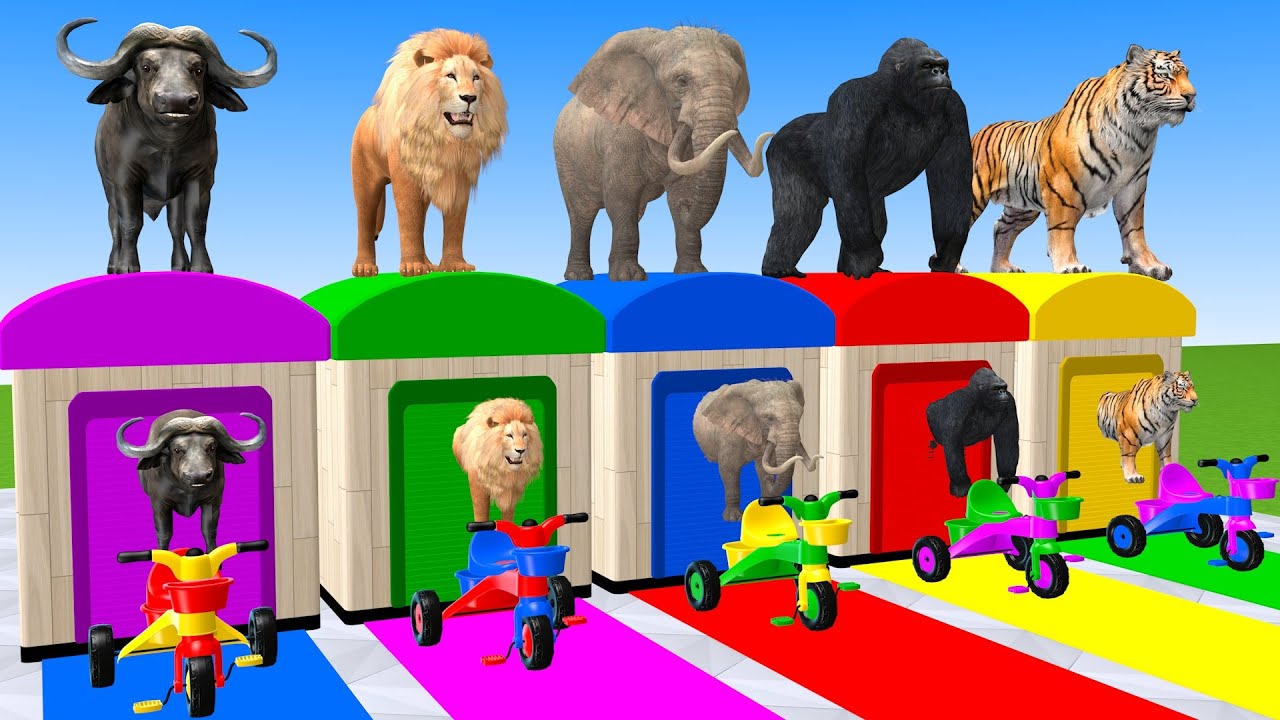Long Slide Game With Elephant Buffalo Lion Gorilla Tiger 3d Animal Game Funny 3d Animals
