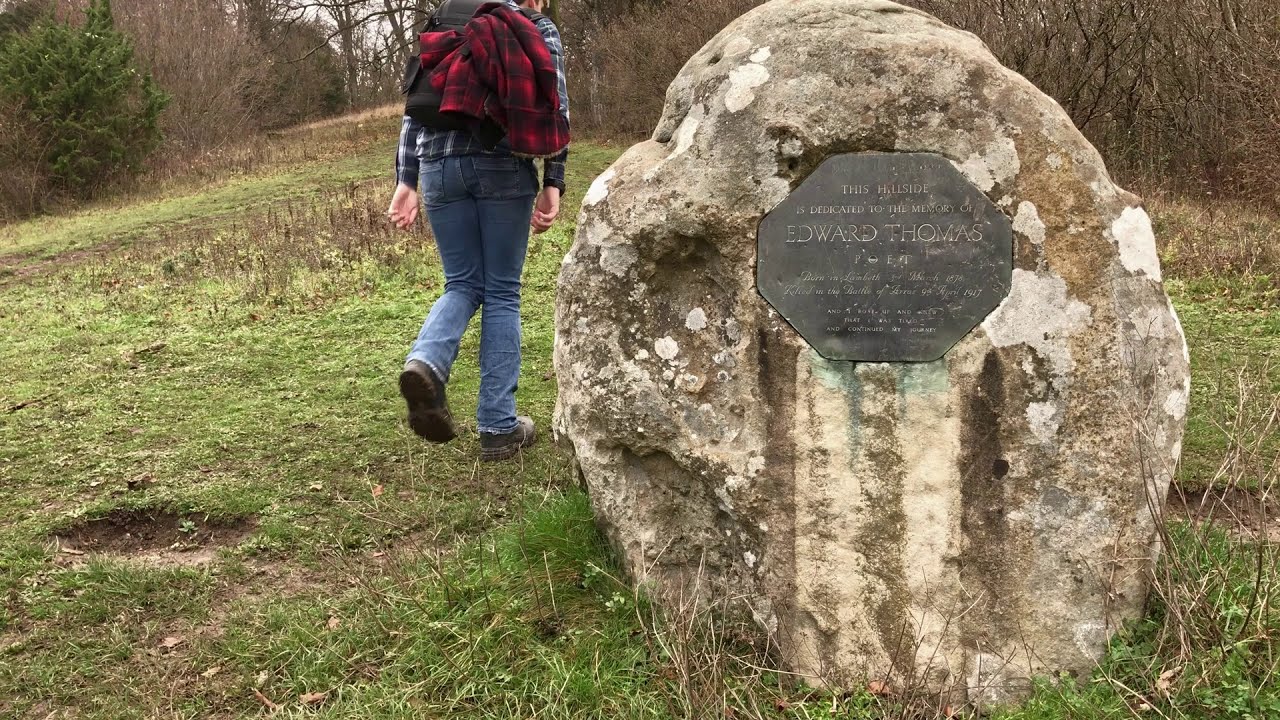 Short Day Hike in the Ashford Hangers