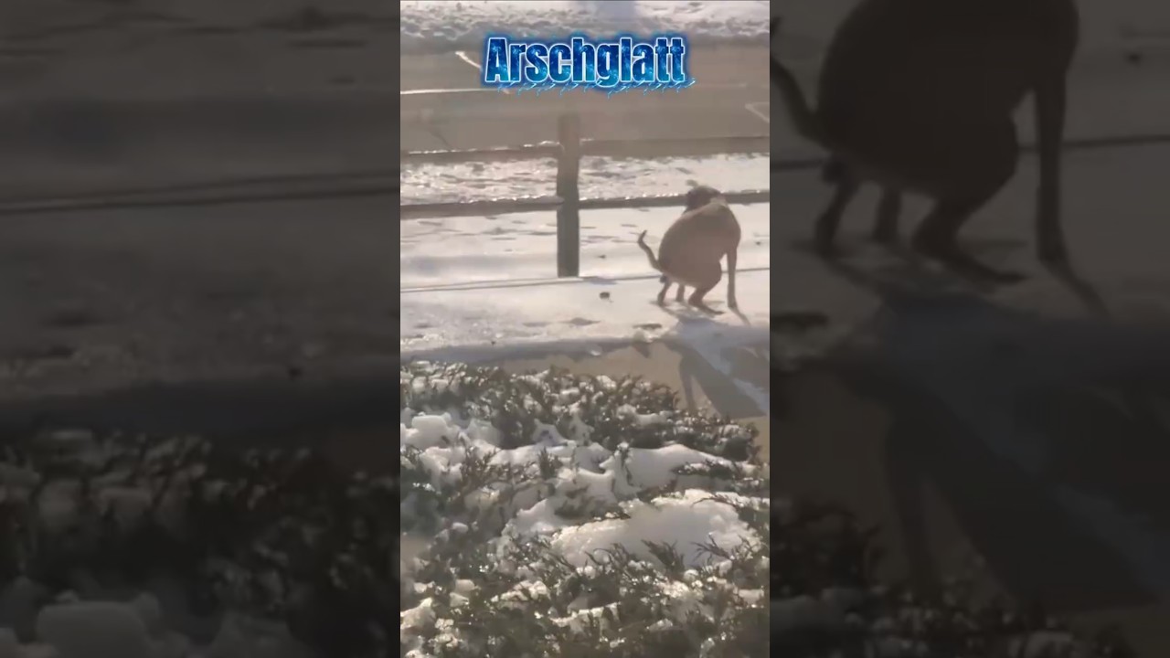❄️🧊 Gl&auml;tte kommt. Die Physik freut sich. 🧊❄️