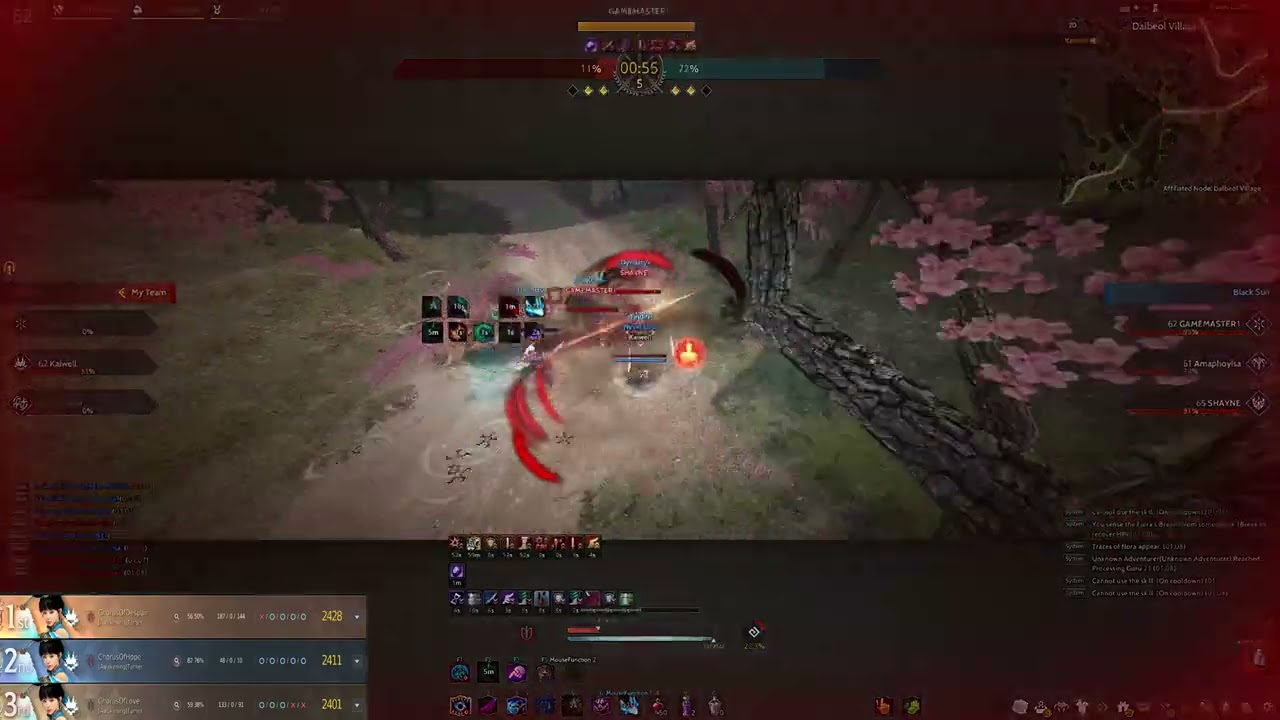 BDO Awakening Tamer  Pvp Montage 8