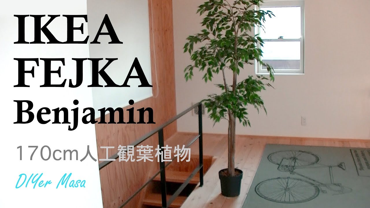 [Review] IKEA FEJKA フェイカ 170cm 人工観葉植物 ベンジャミン