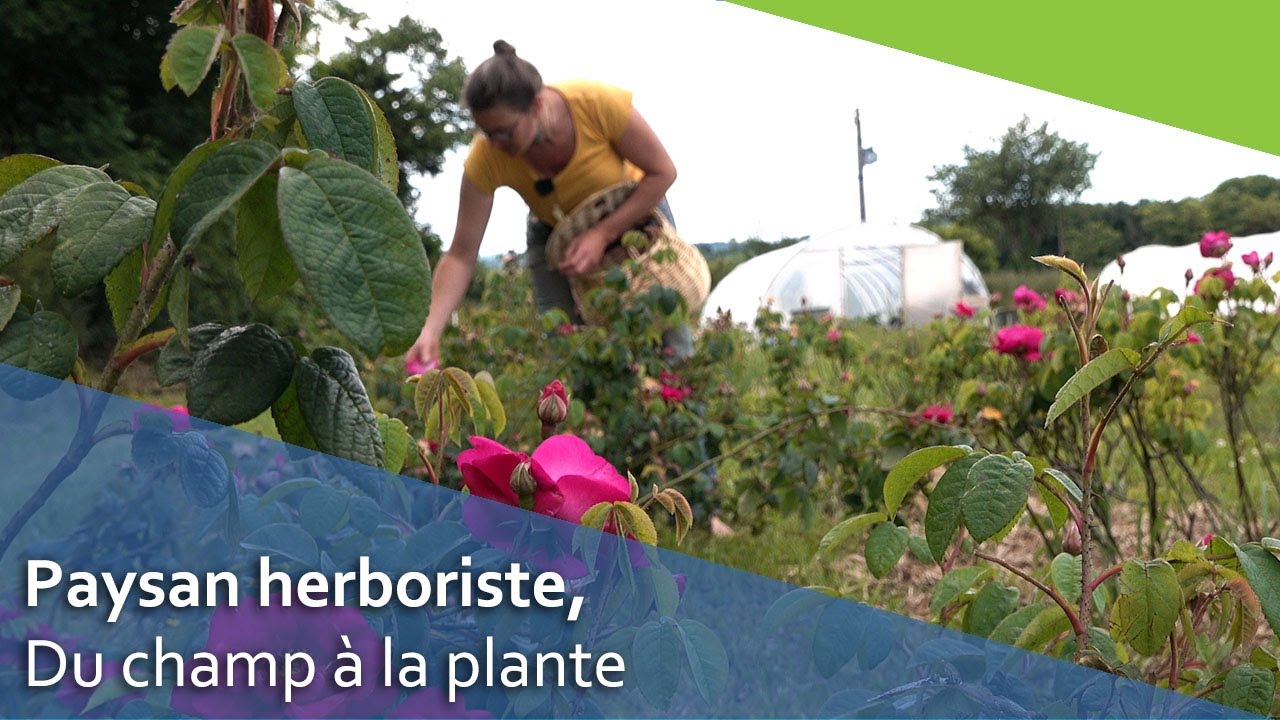 Paysan herboriste: du sol aux plantes