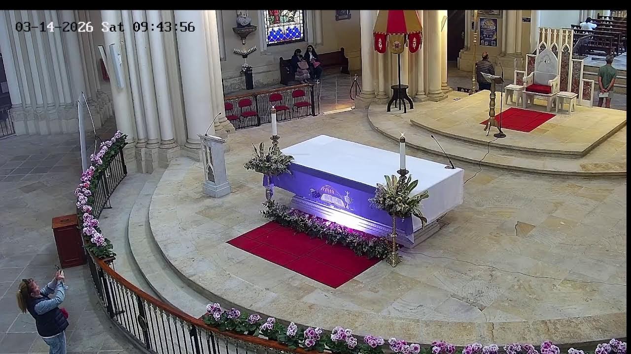 Transmisión Eucaristía Basílica de Lourdes   2026