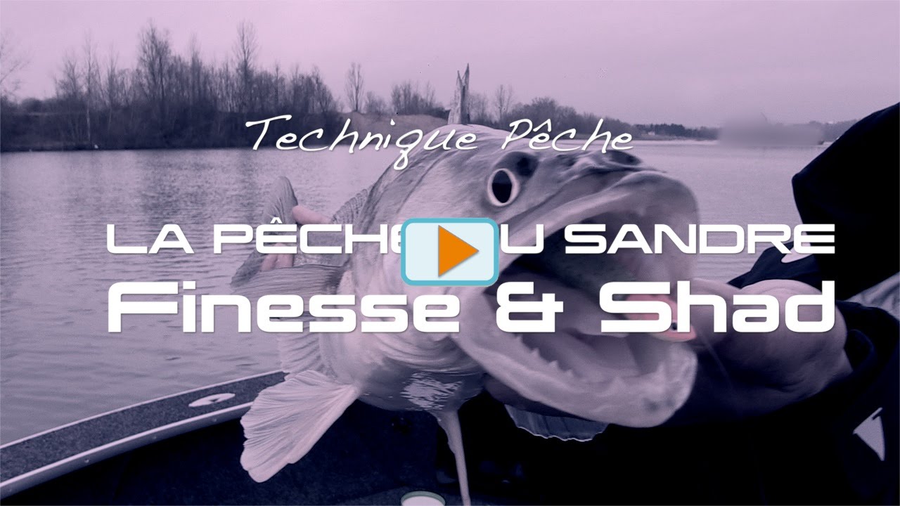 Berkley : Pêche du Sandre