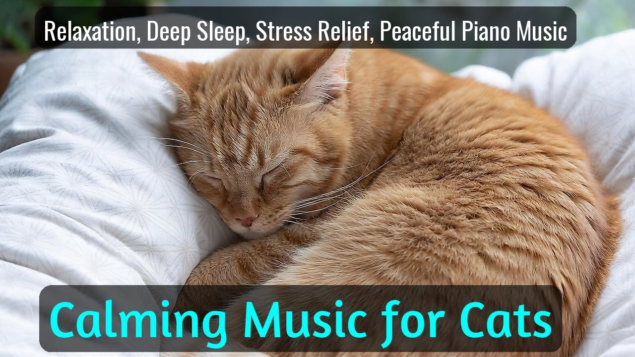 Calming Music for Cats - Relaxation, Deep Sleep, Stress Relief, Peaceful Piano Music | Season 58