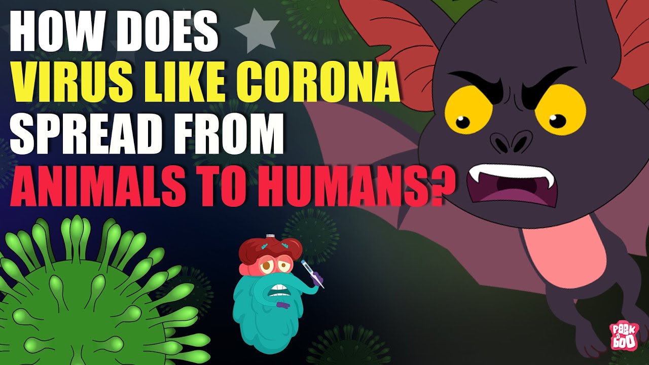 What Is Zoonotic Disease? | Zoonotic Diseases | Animal Virus | The Dr Binocs Show | Peekaboo Kidz
