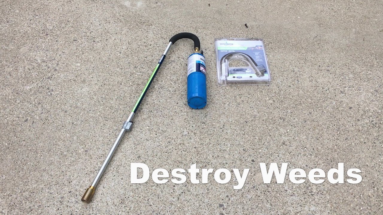 Kill Weeds Without Chemicals