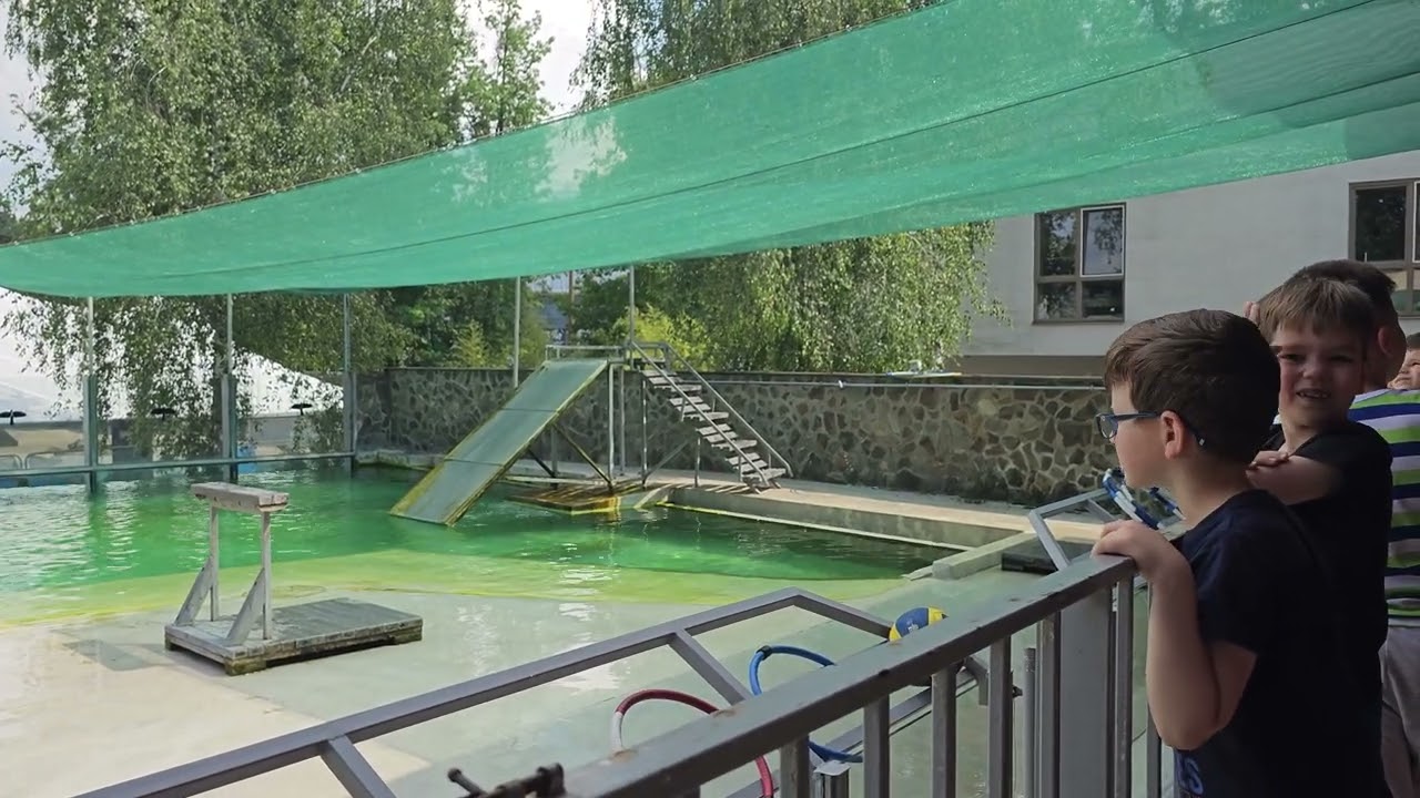 FókaShow, Nyíregyházi Állatpark 2023.06.18.