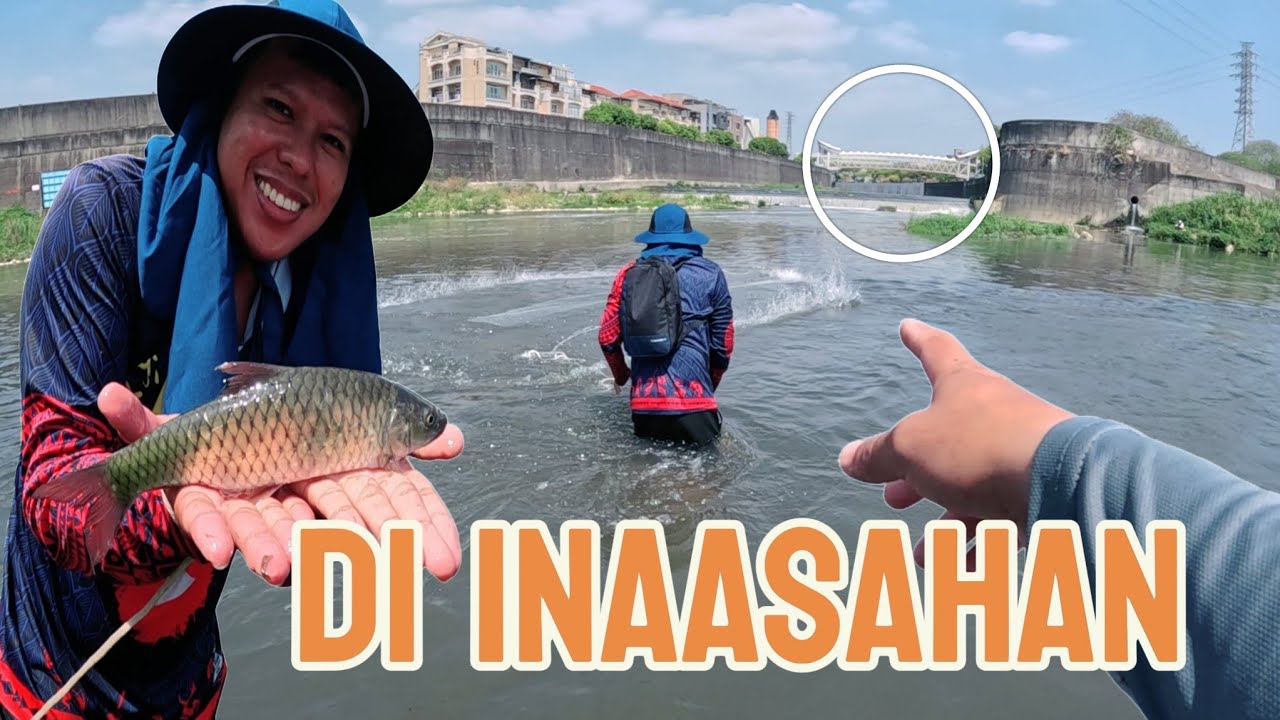 Wow! Expensive PRESIDENT FISH!  nagkakahalaga ng 8k to 10k peso per kilo!