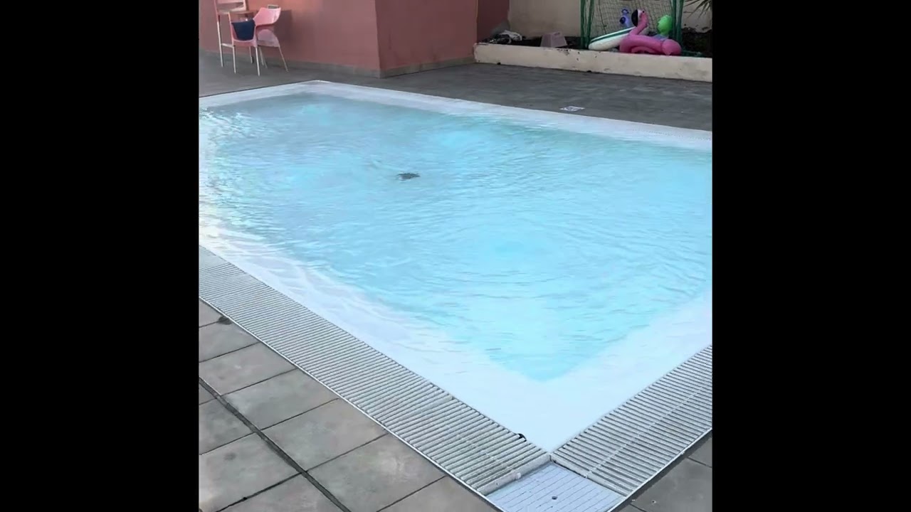 Caybeach Caleta Pool Area