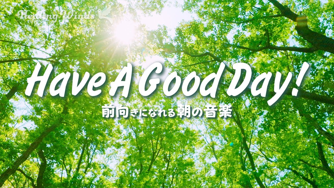 新年のスタートを明るく🤗ポジティブに🌟 前向きになれる朝の音楽🍀 Stay Positive  Uplifting Morning Music🎵 Have A Good Day!