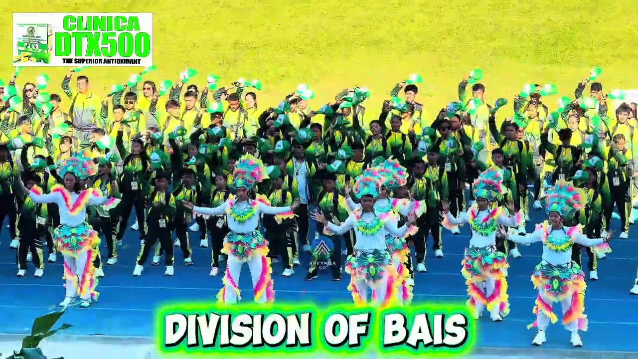Parade of Athletes DIVISION OF BAIS NIRAAM 2026Negros Island Region Athletic Association Meet