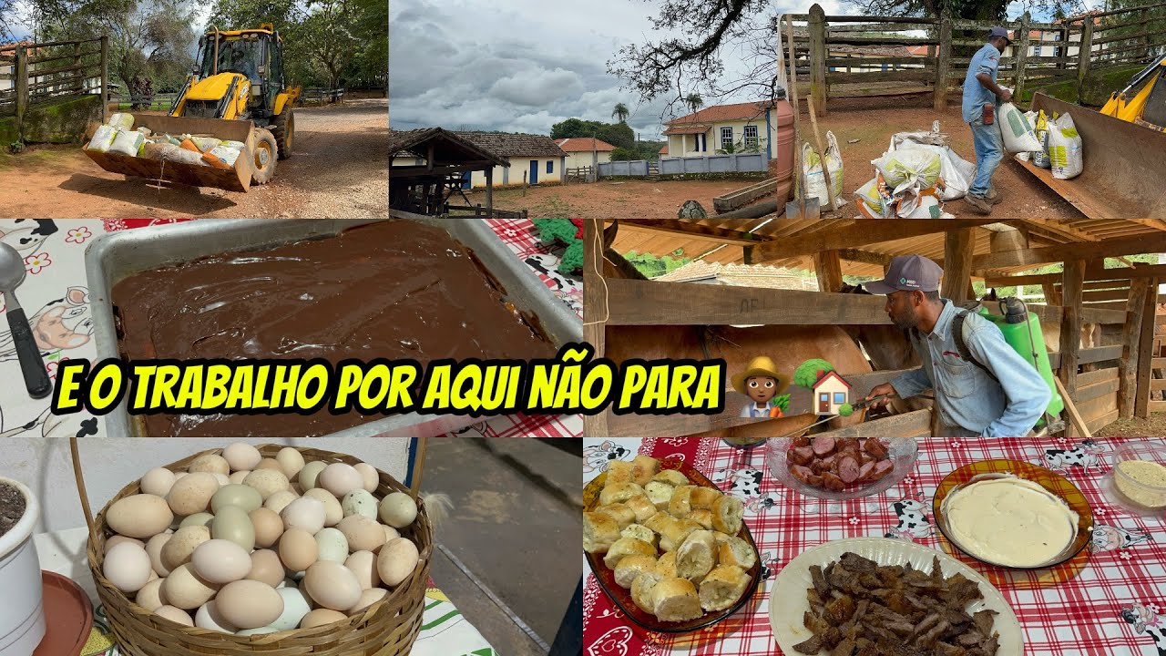 DIA DE CUIDAR DOS CAVALOS AQUI NA FAZENDA/ FIZEMOS TIRA GOSTO PARA O JANTAR😋/FINAL DE SEMANA TOP👩🏻‍🌾