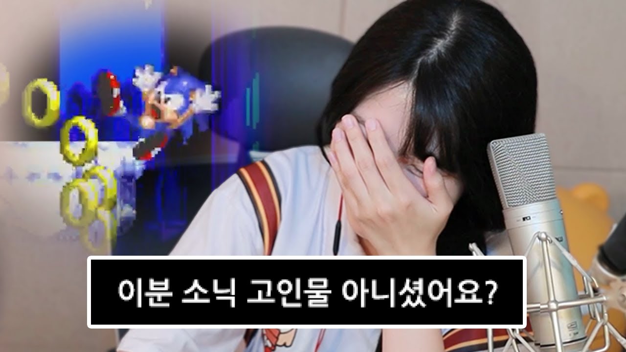 이분 소닉 고인물 아니셨어요?