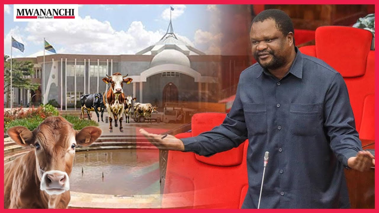 Mnyeti: Tusipofuata sheria kuna siku ng’ombe watatinga bungeni