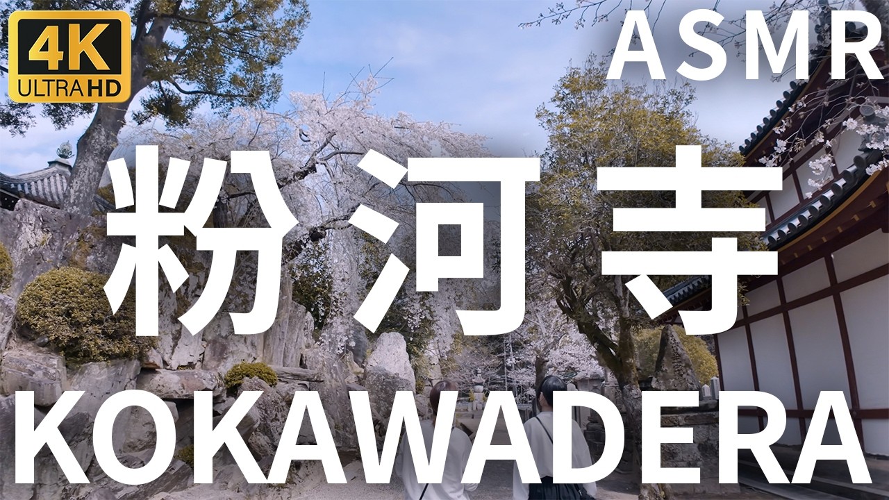 Cherry Blossoms at Kokawa-dera Temple | A Peaceful Spring Walk in Wakayama | 4K ASMR