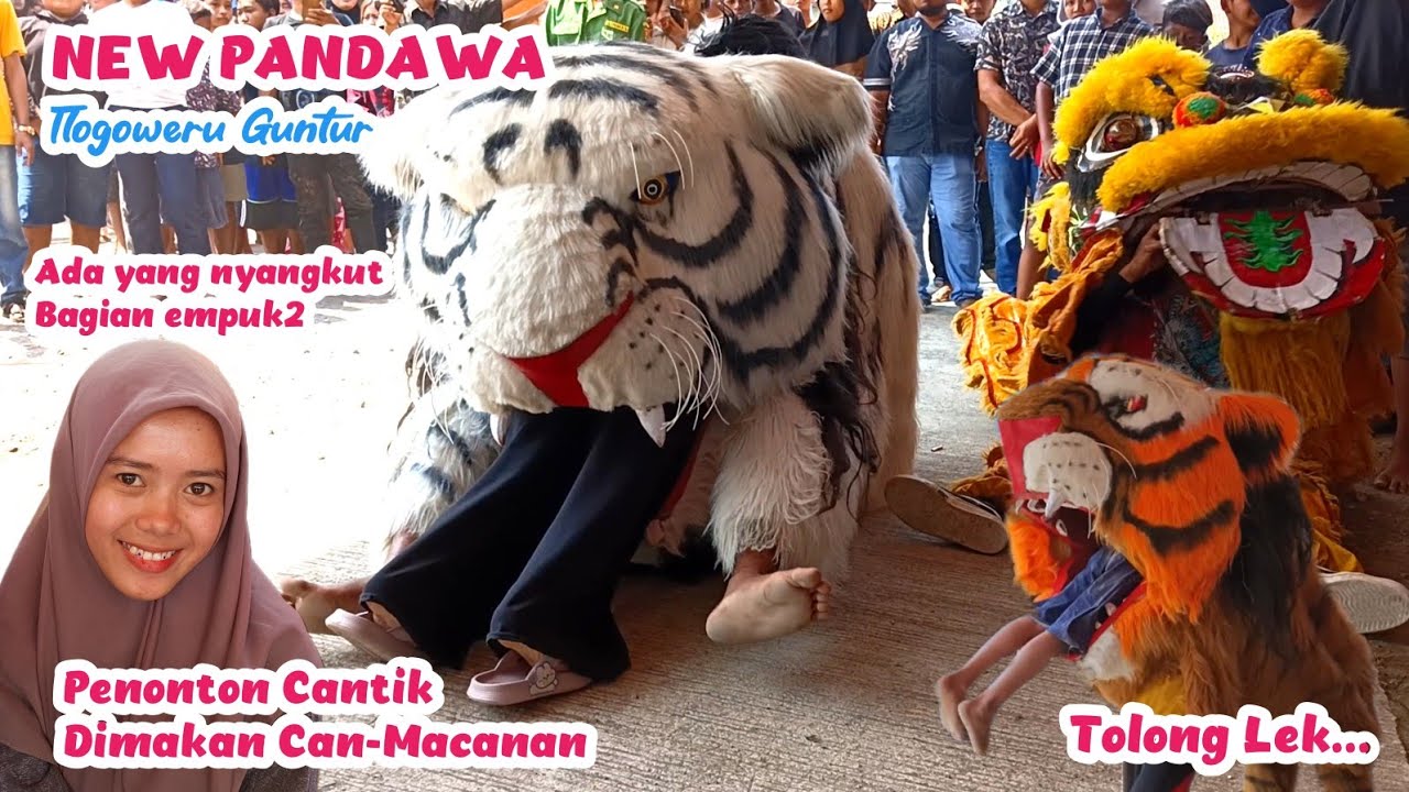 Penonton Cantik Dimakan Can Macanan. New Pandawa Di Tlogoweru Guntur 2023