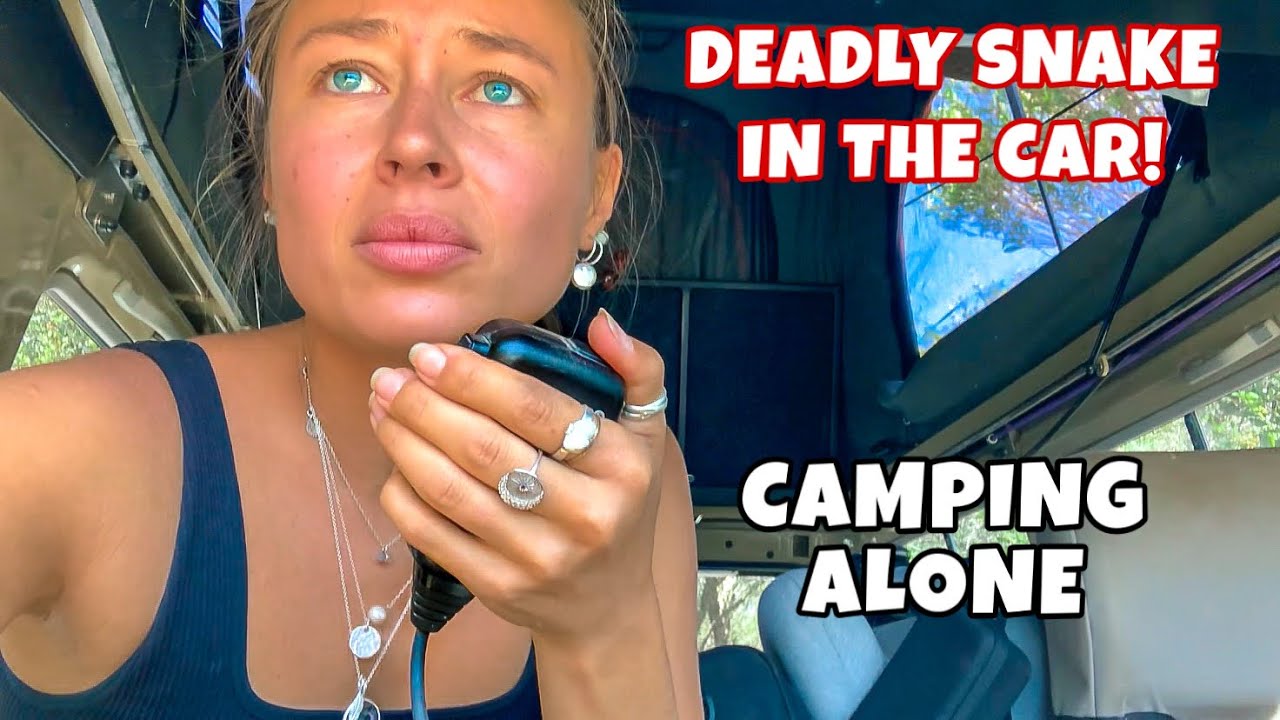 Я ОТДЫХАЛ В ОДИНОЧКУ И В ОТДЕЛЬНОМ ОТ СООБЩЕСТВЕННОГО МЕСТЕ В АВСТРАЛИИ, и все пошло совсем не так!